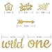 Baby's 1st Birthday Decorations- 12 Month Photo Banners,Wild One Birthday Banners,Wild One Cupcake Topper,the Wild One Party Supplies (wild one) (Gold)