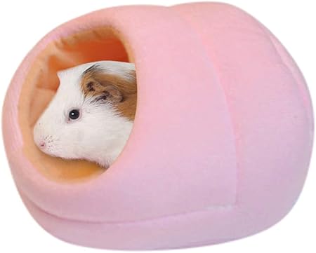 hedgehog pet supplies