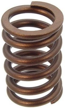 Pioneer Automotive RV-1131-100 VALVE SPRING -100pcs