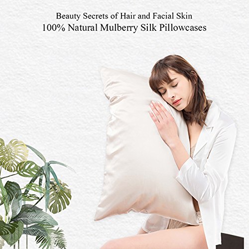 LilySilk Oekotex Silk 19 Momme Pillowcase Soft Both Sides for Hair