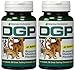 American Biosciences DGP (Dog Gone Pain) 60 Tablets - 2 Pack by American BioScience