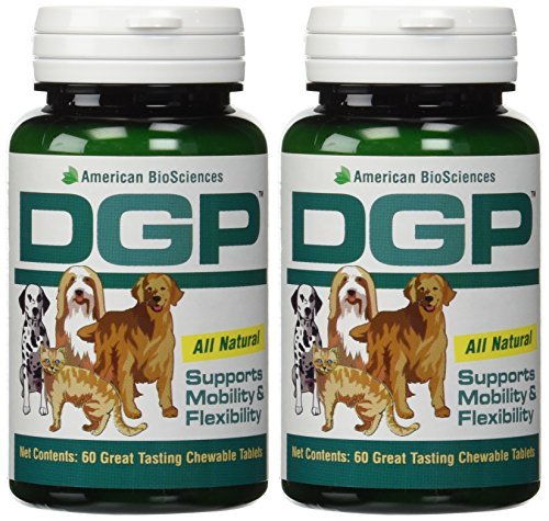 American Biosciences DGP (Dog Gone Pain) 60 Tablets - 2 Pack by American BioScience
