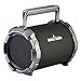 Denali Audio Sound Cannon Portable Wireless Bluetooth Speaker with Subwoofer