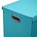 Sorbus Laundry Hamper Sorter with Lid Closure – Foldable Hamper, Detachable Lid, Portable Built-In Handles for Easy Transport – Double (Aqua)