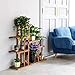Multi-Layer Wooden Flower Stand Indoor Outdoor 6 Tier Planter Stand Rack 8 Pots Shelves for Aloe Vera Succulent Plantsthumb 1