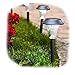 Enchanted Spaces Black Solar Path Light, Set of 6, with Glass Lens, Metal Ground Stake, and Extra-Bright LED for Lawn, Patio, Yard, Walkway, Driveway