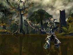 Guild Wars Game of the Year - PC
