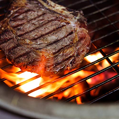 Royal Oak Chef's Select Premium Hardwood Lump Charcoal Briquettes for