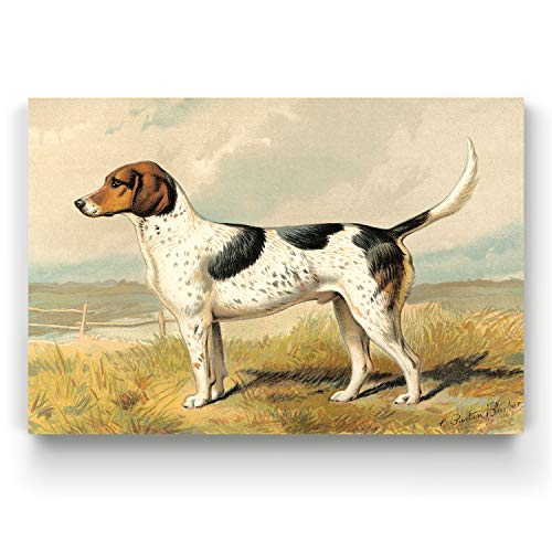 Renditions Gallery Fox Hound Wall Art, Foxhound Hunting Dog Outside, White, Bla…