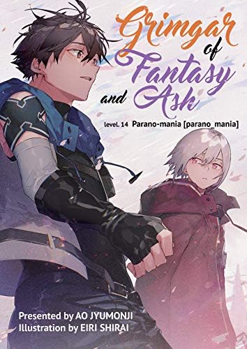 Grimgar of Fantasy and Ash: Volume 14 (Light Novel)