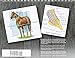 Illustrated Atlas of Clinical Equine Anatomy and Common Disorders of the Horse