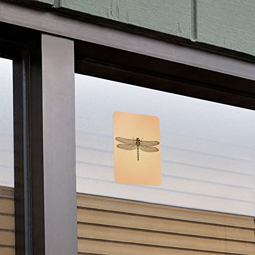 Dragonfly Vintage Insect Home Business Office Sign - Window Sticker - 4" x 6" (10.2cm x 15.2cm)