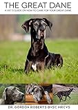 The Great Dane: A vet's guide on how to care for your Great Dane