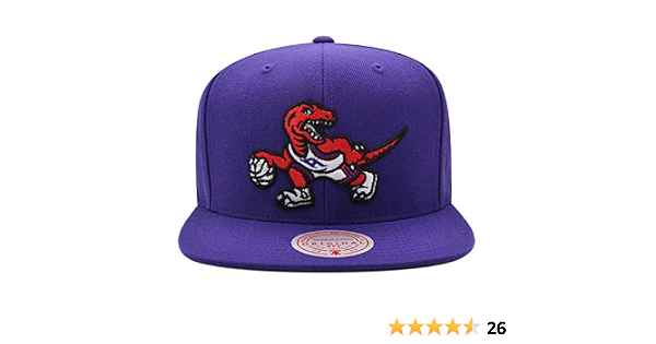 Toronto Raptors Mitchell and Ness Team 
