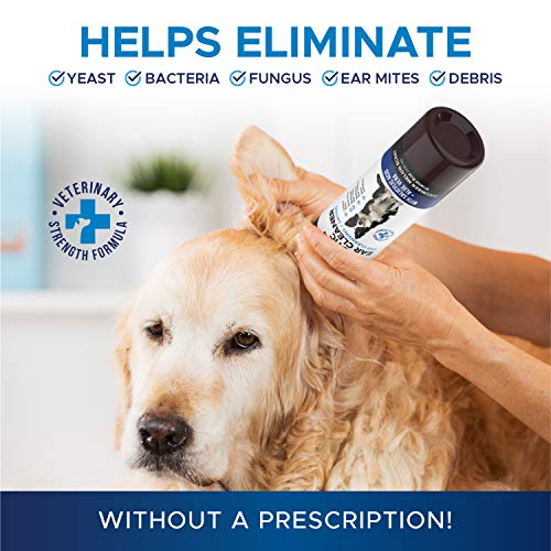 PetHonesty Dog Ear Cleaner & Ear Infection Treatment Advanced