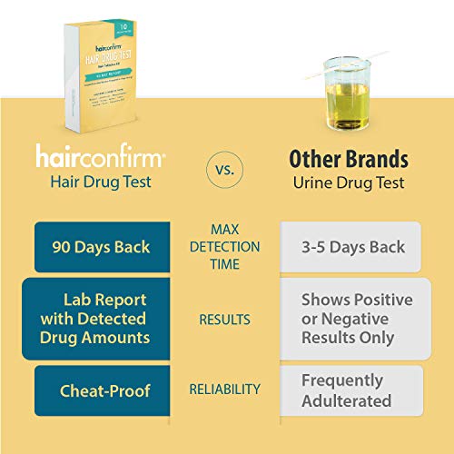 HairConfirm 10 Panel Hair Drug Test Collection Kit Only, 90 Day