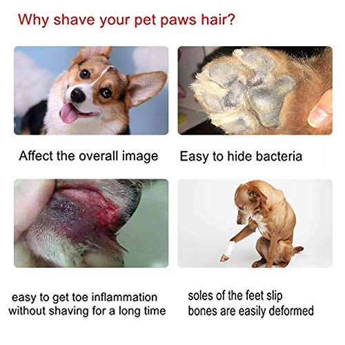 Dream Reach Professional Pet Grooming Clipper/Trimmers/Grinder, Low Noise Dog Hair Cutter Tools Gentle and Painless Trimming for Small/Medium/Large Dogs/Cats Rump, paw, Ears, Eyes, face