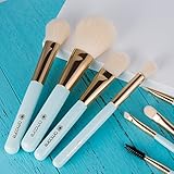 amoore 8 Pcs Makeup Brush Makeup Brushes with Case Makeup Brush set Foundation Brush Powder Brush (8 Pcs, Mint Green)