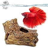 SunGrow Betta Log: Hollow Log for Fish to Hide, Play, Sleep and Breed: Natural Look: Purifies Water: Great for Aquarium Decoration with Moss