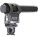 Canon 2591B002 DM-100 Directional Stereo Microphone for HF/HG Series Camcorders , black