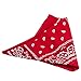 CoverYourHair Paisley Bandanas - Pack of 6-100% Cotton Double Sided Bandanas - Headwraps