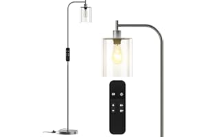 PAZZO LED Floor Lamp, Industrial Standing Lamp with Glass Lampshade, Ideal for Living Room, Bedroom, and Office,Silver(Includes Remote Control)