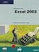 Microsoft Office Excel 2003: Complete Tutorial by