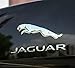 BENZEE B175 JAGUAR Car Emblem Badge Decal Sticker Letters