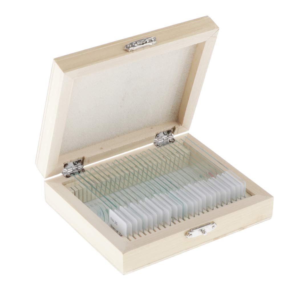Prepared Microscope Slides Kit, Box of 25pcs Insects Specimens, Kids