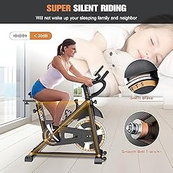 Indoor Cycling Bike Stationary, VIGBODY Exercise