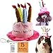 Bolbove Bro'Bear Dog Birthday Hat with Cake & Candles Design Party Costume Accessory Headwear Pink (One Size Fits Most)