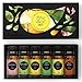 Edens Garden Essential Oils Fruit 6 Set – 100% Pure Therapeutic Grade, Natural Aromatherapy Scents: Lemon, Orange & Citrus Blends for Diffusers – No Fragrance Oil, Undiluted & Vegan, 10 ml/ 6 Pack