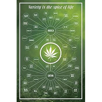 Amazon.com: Buyartforless Framed Periodic Table of Cannabis (Weed ...