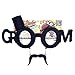 Sunstaches The Groom Sunglasses, Instant Costume, Party Favors, UV400