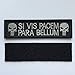 SpaceAuto Punisher SI VIS PACEM PARA BELLUM Tactical Morale Patch 3.74