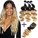 10A Ombre Brazilian Virgin Hair Body Wave Human Hair Bundles Ombre Brazilian Human Hair 100% Unprocessed Virgin Remy Hair Bundles 2 Tone Black to Blonde Human Hair Weave (16/18/20+14 Inch, T1B/27)