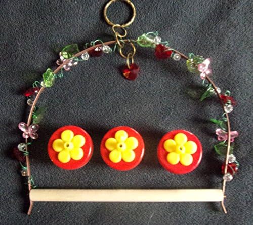 Amazing Bird Stuff Hummer Fun Swing(tm) with 3 One Port Hummer Fun Button(tm) Hand Held Hummingbird Feeder Complete Kit