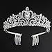 Tinksky Princess Tiara with Comb Shining Crystal Rhinestones Wedding Bridal Tiara Headband (Silver)