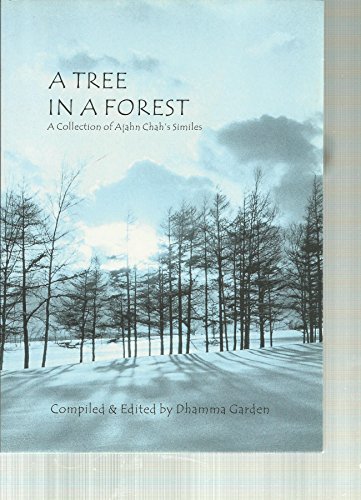 Tree in a Forest: A Collection of Ajahn Chah's Similes