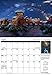 Starry Nights 2018 Astronomy Wall Calendar (13.5