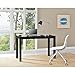 Ameriwood Home Large Parsons Desk with 2 Drawers, Black