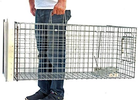Zielonalapka. Strong Humane Animal Trap Cage 1 door, Capture Martens, Marten, Cat, Otter, Beaver, Fox and Dogs, Size: 41" (105x34x42 cm) With Extra Bait