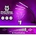 Grow Light, Plant Lights for Indoor Plants 60 LED Plant Grow Lamp with Timer 3/6/12H Auto ON & Off, 10 Dimmable Levels, 3-Head 360 Degree 3 Lighting Modes Adjustable Gooseneck