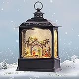 GenSwin Nativity Musical Lighted Water Lantern
