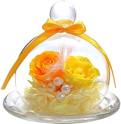 Amazon ティートサイト プリザーブドフラワー フラワーアレンジ ラッピング済み ガラスポット入り 2輪 バラ イエロー オレンジ プリザーブドフラワー オンライン通販