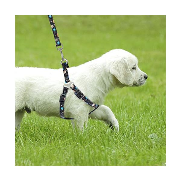 pupteck harness