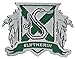 Harry Potter Slytherin Lapel Pin
