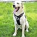 iBuddy Dog Harness No Pull Vest Harnesses for Medium and Large Dogs with Handle and Front/Back Leash Attachments, Easy On and Off Reflective Adjustable Pet Harness Non Choke for Walking and Training