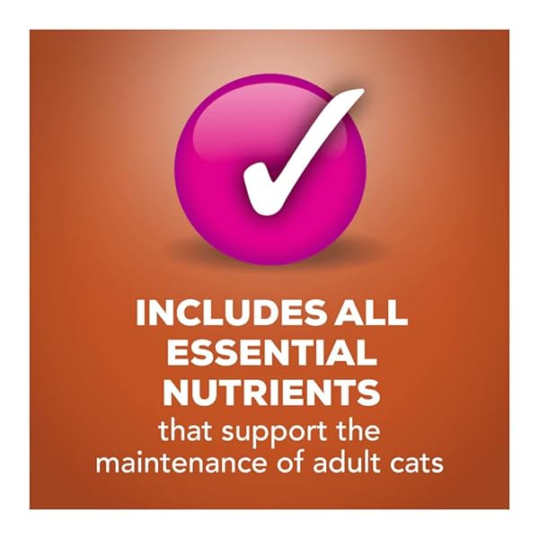 FRISKIES SLICED GOURMET GRILL CHICKEN CANNED CAT FOOD 24-5.5OZ CANS