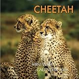 Cheetah Mini Wall Calendar 2018: 16 Month Calendar by Paul Jenson
